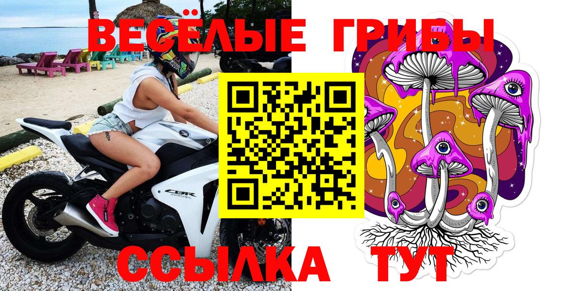 Псилоцибиновые грибы Psilocybine cubensis Тында
