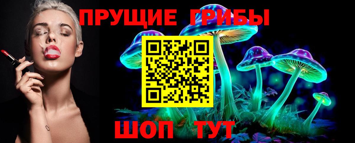 как найти   Галлюциногенные грибы ЛСД  Вход с VPN  Псилоцибиновые грибы мицелий  Тында 
